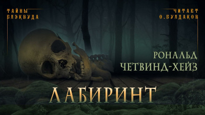 Слушайте бесплатные аудиокниги на русском языке | Audiobukva.com Четвинд-Хейс Рональд - Лабиринт