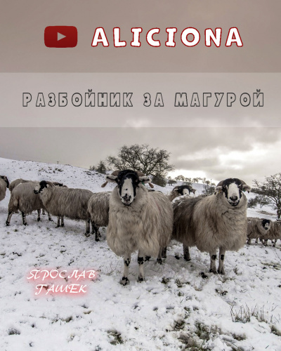 Слушайте бесплатные аудиокниги на русском языке | Audiobukva.com Гашек Ярослав - Разбойник за Магурой