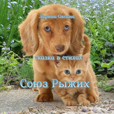 Слушайте бесплатные аудиокниги на русском языке | Audiobukva.com Ларина Оксана - Союз Рыжих