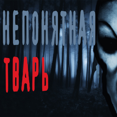 Слушайте бесплатные аудиокниги на русском языке | Audiobukva.com Васалаев Роман - Непонятная тварь
