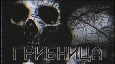 Слушайте бесплатные аудиокниги на русском языке | Audiobukva.com Грибница