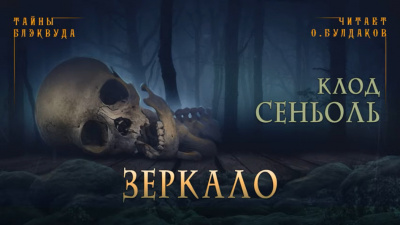 Слушайте бесплатные аудиокниги на русском языке | Audiobukva.com Сеньоль Клод - Зеркало