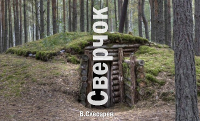 Слушайте бесплатные аудиокниги на русском языке | Audiobukva.com Слесарев Вячеслав - Сверчок