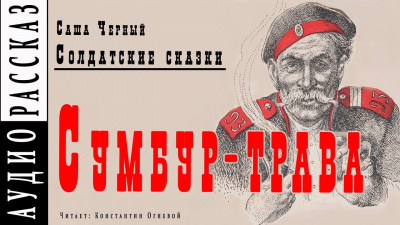 Слушайте бесплатные аудиокниги на русском языке | Audiobukva.com Черный Саша - Сумбур-трава