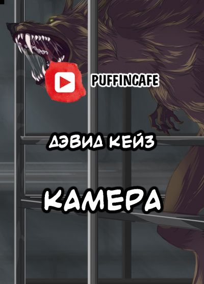 Слушайте бесплатные аудиокниги на русском языке | Audiobukva.com Кейз Дэвид - Камера