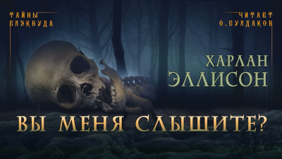 Слушайте бесплатные аудиокниги на русском языке | Audiobukva.com Эллисон Харлан - Вы меня слышите
