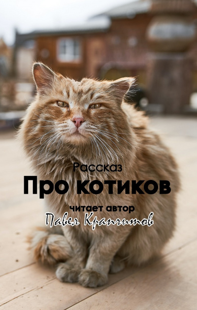 Слушайте бесплатные аудиокниги на русском языке | Audiobukva.com Крапчитов Павел - Про котиков