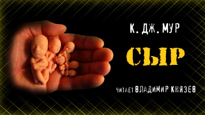 Слушайте бесплатные аудиокниги на русском языке | Audiobukva.com Мур К. Дж - Сыр