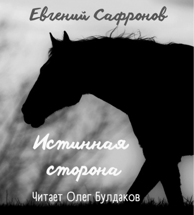 Слушайте бесплатные аудиокниги на русском языке | Audiobukva.com Сафронов Евгений - Истинная сторона