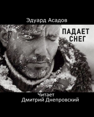 Слушайте бесплатные аудиокниги на русском языке | Audiobukva.com Асадов Эдуард - Падает снег
