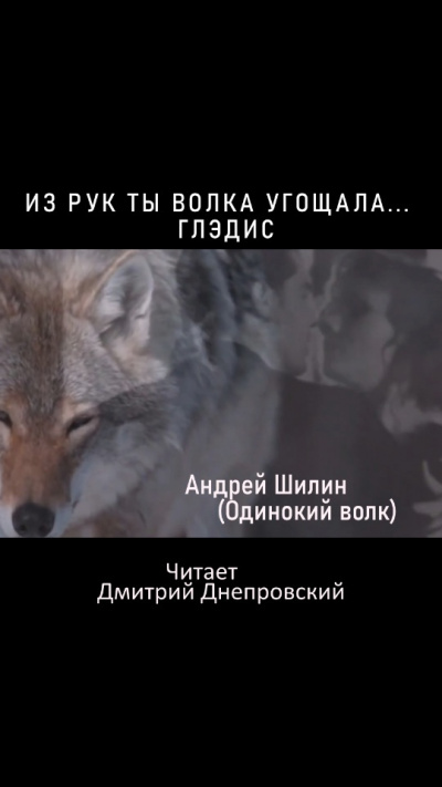 Слушайте бесплатные аудиокниги на русском языке | Audiobukva.com Шилин Андрей (Одинокий волк) - Из рук ты Волка угощала... Глэдис