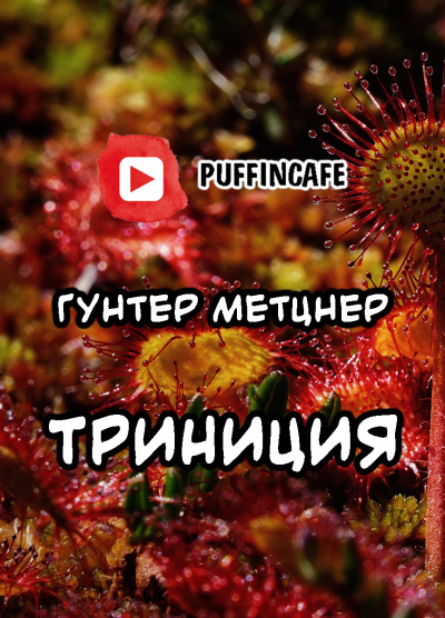 Слушайте бесплатные аудиокниги на русском языке | Audiobukva.com Метцнер Гунтер - Trinicia