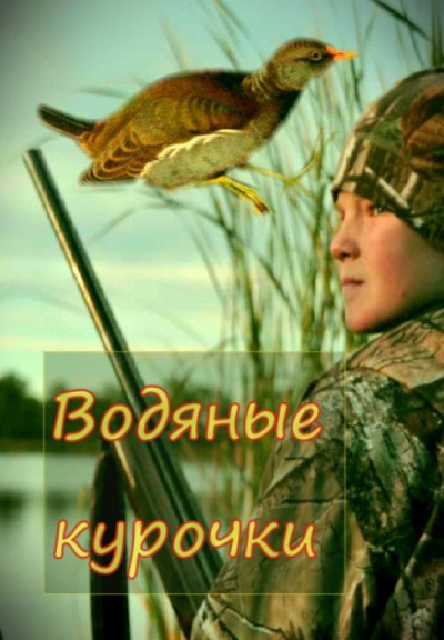 Слушайте бесплатные аудиокниги на русском языке | Audiobukva.com Сурожский Павел - Водяные курочки