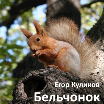 Слушайте бесплатные аудиокниги на русском языке | Audiobukva.com Куликов Егор - Бельчонок