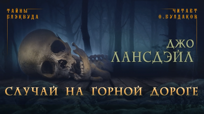 Слушайте бесплатные аудиокниги на русском языке | Audiobukva.com Лансдейл Джо - Случай на горной дороге