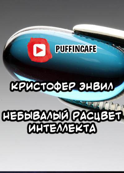 Слушайте бесплатные аудиокниги на русском языке | Audiobukva.com Энвил Кристофер - Небывалый расцвет интеллекта