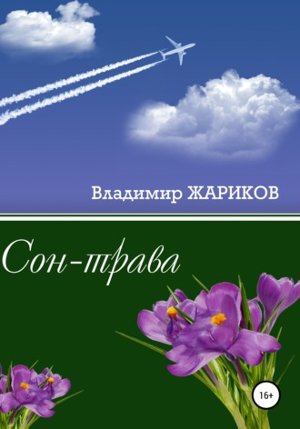 Слушайте бесплатные аудиокниги на русском языке | Audiobukva.com Жариков Владимир - Сон-трава