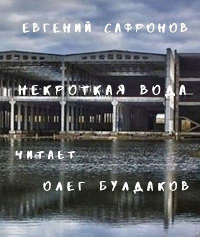 Слушайте бесплатные аудиокниги на русском языке | Audiobukva.com Сафронов Евгений - Некроткая вода