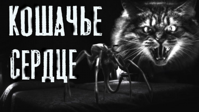 Слушайте бесплатные аудиокниги на русском языке | Audiobukva.com Темир Руслан - Кошачье сердце