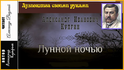 Слушайте бесплатные аудиокниги на русском языке | Audiobukva.com Куприн Александр - Лунной ночью
