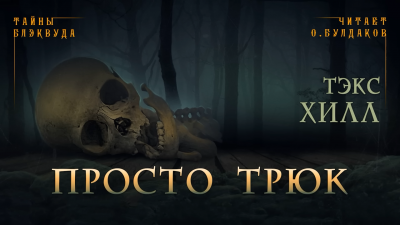 Слушайте бесплатные аудиокниги на русском языке | Audiobukva.com Хилл Тэкс - Просто трюк