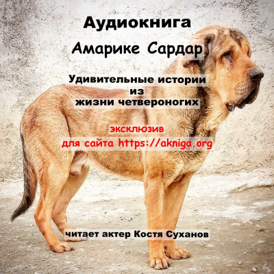 Слушайте бесплатные аудиокниги на русском языке | Audiobukva.com Амарике Сардар - Удивительные истории из жизни четвероногих