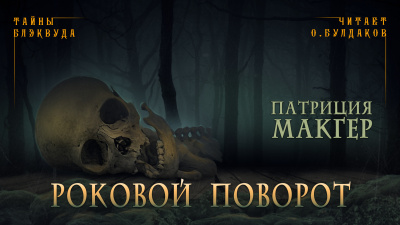 Слушайте бесплатные аудиокниги на русском языке | Audiobukva.com Макгер Патриция - Роковой поворот