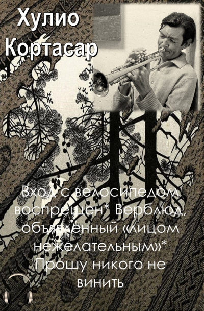Слушайте бесплатные аудиокниги на русском языке | Audiobukva.com Кортасар Хулио - Вход с велосипедом воспрещен