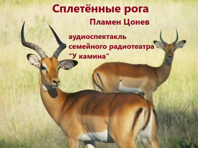 Слушайте бесплатные аудиокниги на русском языке | Audiobukva.com Цонев Пламен - Сплетённые рога