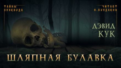 Слушайте бесплатные аудиокниги на русском языке | Audiobukva.com Кук Дэвид - Шляпная булавка