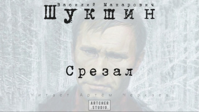 Слушайте бесплатные аудиокниги на русском языке | Audiobukva.com Шукшин Василий - Срезал