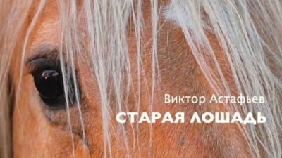 Слушайте бесплатные аудиокниги на русском языке | Audiobukva.com Астафьев Виктор - Старая лошадь