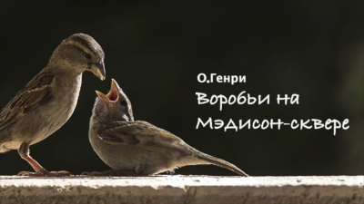 Слушайте бесплатные аудиокниги на русском языке | Audiobukva.com О. Генри - Воробьи на Мэдисон-сквере