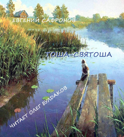 Слушайте бесплатные аудиокниги на русском языке | Audiobukva.com Сафронов Евгений - Тоша-святоша