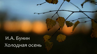 Слушайте бесплатные аудиокниги на русском языке | Audiobukva.com Бунин Иван - Холодная осень
