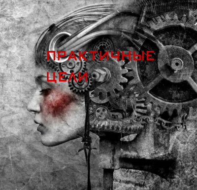 Слушайте бесплатные аудиокниги на русском языке | Audiobukva.com Берсерк Алексей - Практичные цели