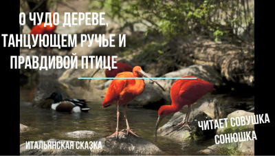 Слушайте бесплатные аудиокниги на русском языке | Audiobukva.com О чудо дереве, танцующем ручье и правдивой птице