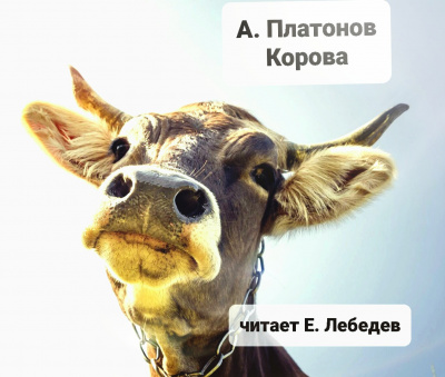 Слушайте бесплатные аудиокниги на русском языке | Audiobukva.com Андрей Платонов - Корова