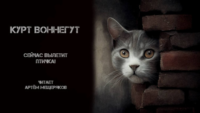 Слушайте бесплатные аудиокниги на русском языке | Audiobukva.com Воннегут Курт - Сейчас вылетит птичка