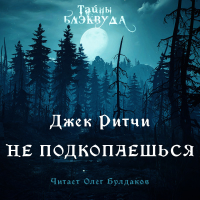 Слушайте бесплатные аудиокниги на русском языке | Audiobukva.com Ритчи Джек - Не подкопаешься