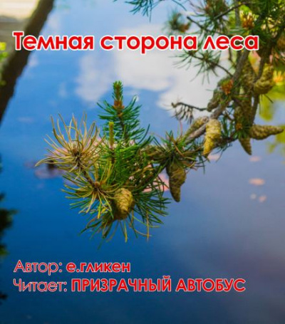 Слушайте бесплатные аудиокниги на русском языке | Audiobukva.com Гликен Екатерина - Темная сторона леса