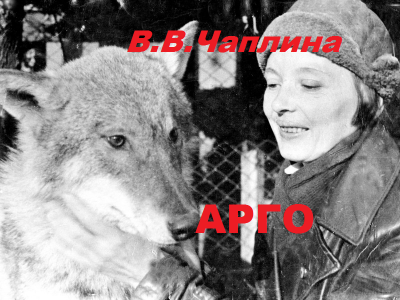Слушайте бесплатные аудиокниги на русском языке | Audiobukva.com Чаплина Вера - Арго