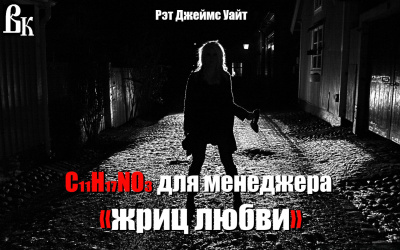 Слушайте бесплатные аудиокниги на русском языке | Audiobukva.com Уайт Рэт Джеймс - Мескалин для сутенера