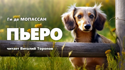 Слушайте бесплатные аудиокниги на русском языке | Audiobukva.com Ги Де Мопассан - Пьеро
