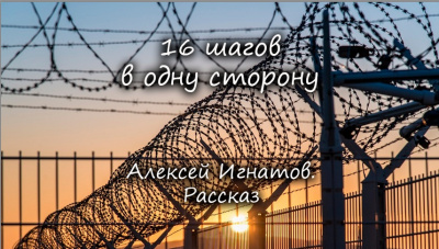 Слушайте бесплатные аудиокниги на русском языке | Audiobukva.com Игнатов Алексей - 16 шагов в одну сторону