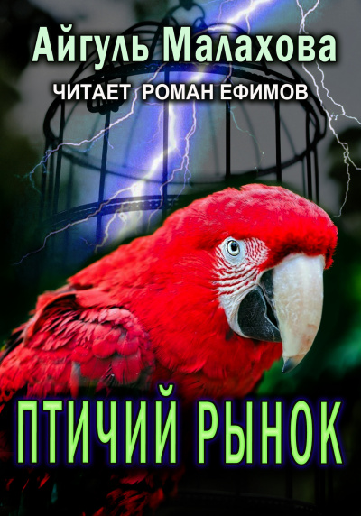 Слушайте бесплатные аудиокниги на русском языке | Audiobukva.com Малахова Айгуль - Птичий рынок