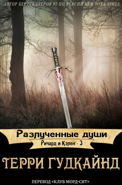 Слушайте бесплатные аудиокниги на русском языке | Audiobukva.com Терри Гудкайнд - Разлученные души
