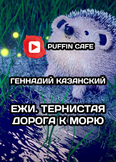 Слушайте бесплатные аудиокниги на русском языке | Audiobukva.com Казанский Геннадий - Ежи. Тернистая дорога к морю.