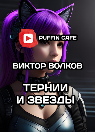 Слушайте бесплатные аудиокниги на русском языке | Audiobukva.com Волков Виктор - Тернии и Звёзды
