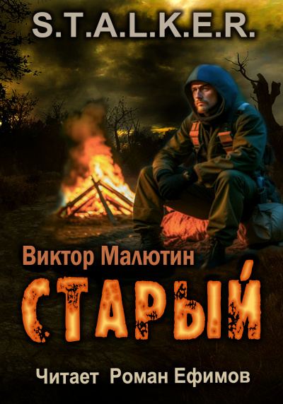 Слушайте бесплатные аудиокниги на русском языке | Audiobukva.com Малютин Виктор - S.T.A.L.K.E.R. Старый